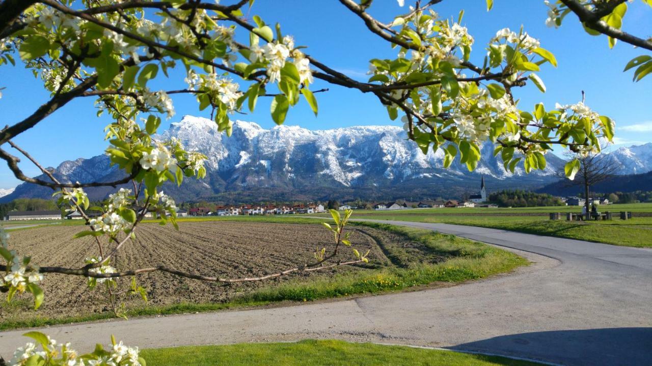 Vor Den Toren Salzburgs Wals-Siezenheim Εξωτερικό φωτογραφία